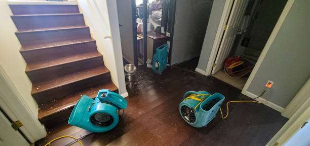 Best Water damage cleanup near me  in Lawrenceburg, IN