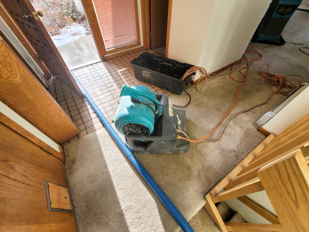 Best Professional water damage repair  in Lawrenceburg, IN