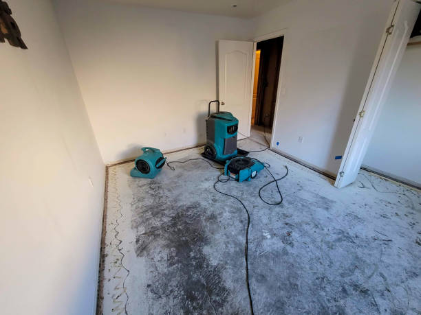 Best Flood damage cleanup  in Lawrenceburg, IN