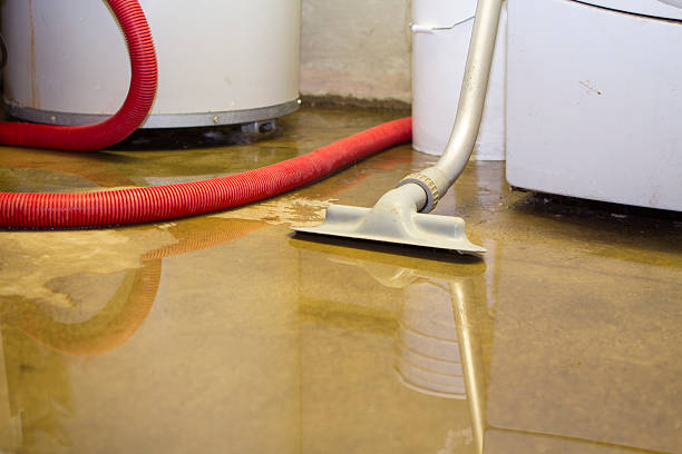 Best Emergency water damage restoration  in Lawrenceburg, IN