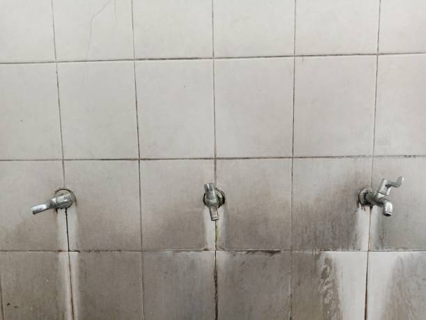Best Water damage repair service  in Lawrenceburg, IN