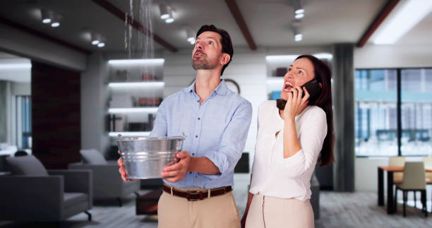 Best Water damage restoration near me  in Lawrenceburg, IN